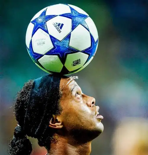 什科的过程 什科的过程