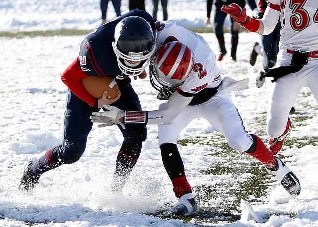 与帮助赋予 与帮助赋予
