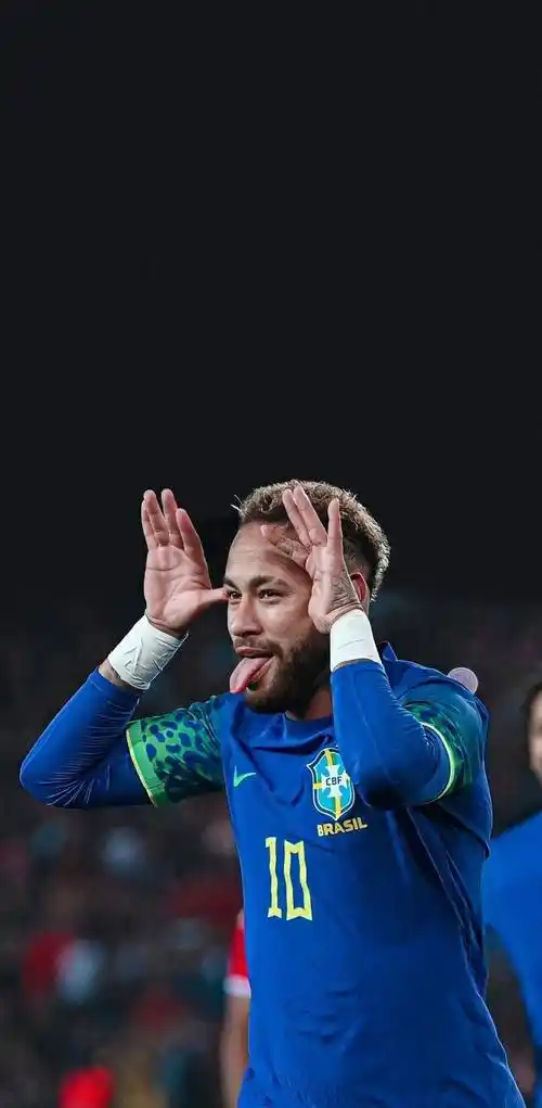 提供了前进 提供了前进